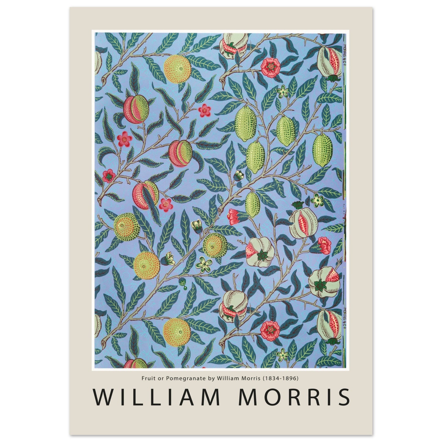 a328b0aa-fc8b-4a6e-b10c-35388442297a