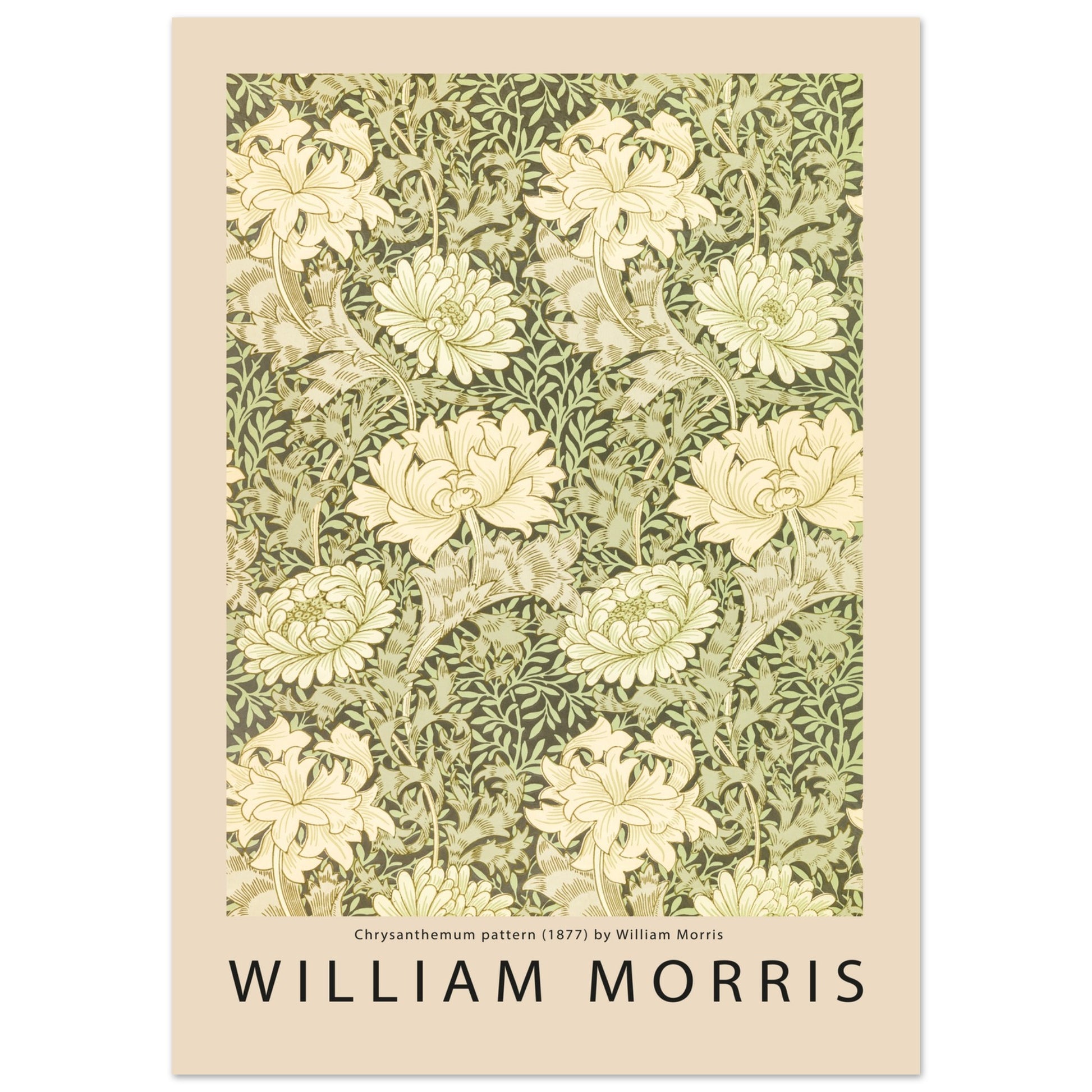 c552b42a-f036-4e2e-a6e8-c1854afb77fb