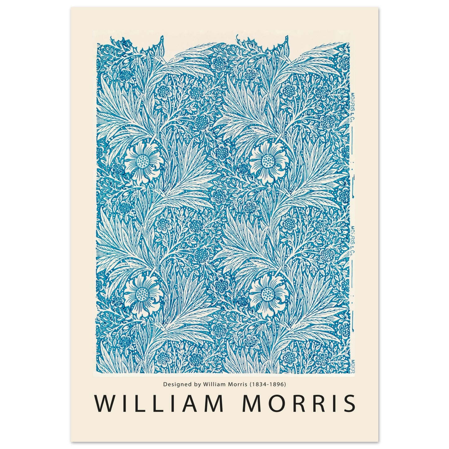 c5f9f238-8a66-482a-85b6-5fd7d73419b3