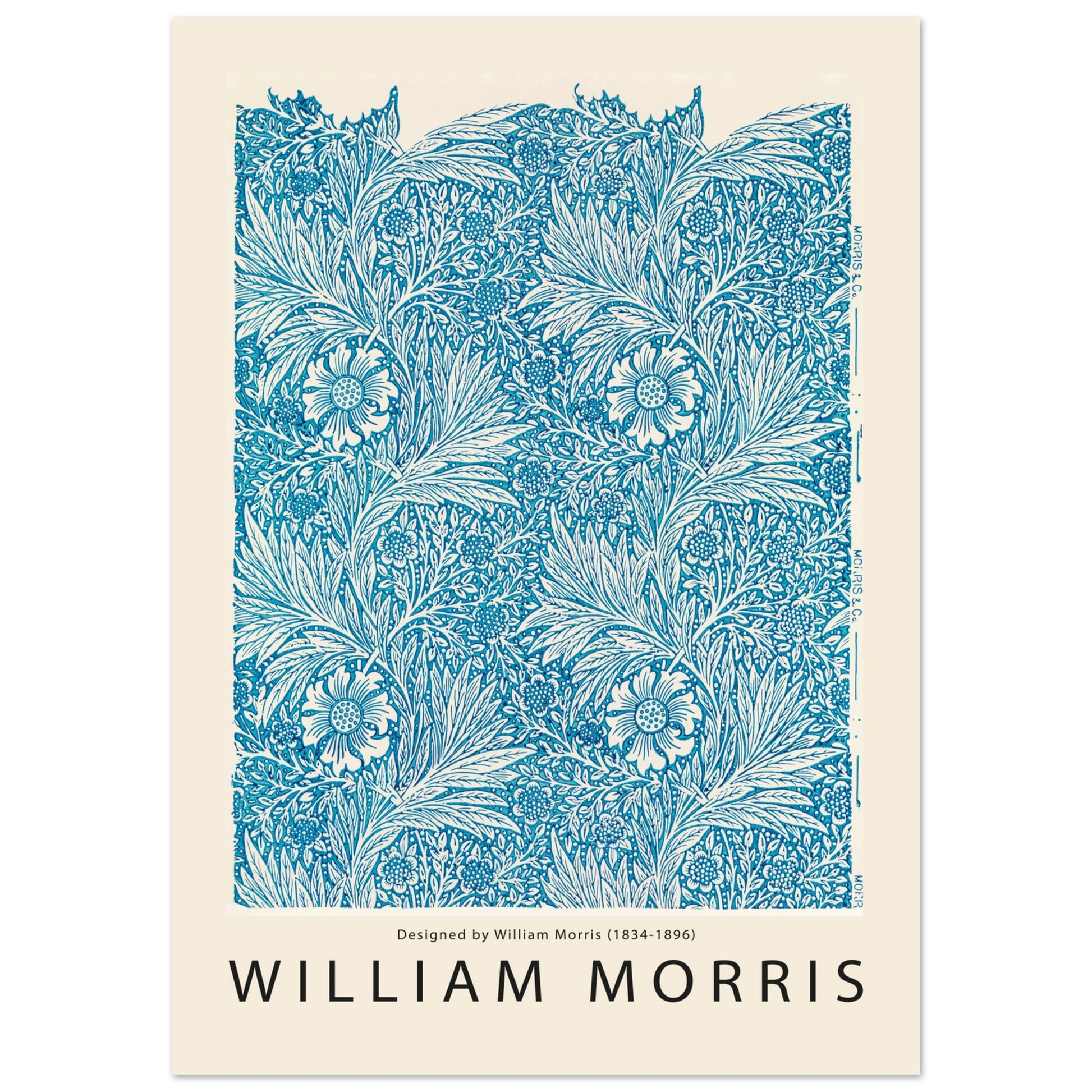 c5f9f238-8a66-482a-85b6-5fd7d73419b3