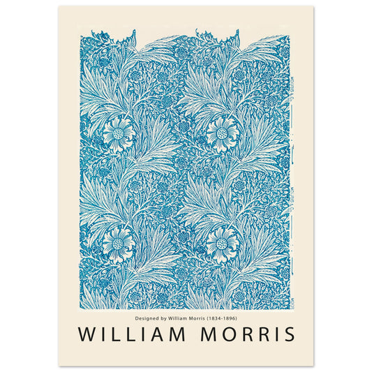 c5f9f238-8a66-482a-85b6-5fd7d73419b3