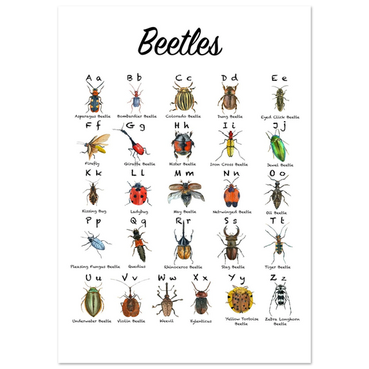 6b5a8000-a137-42ba-9f8c-81bc004f0080