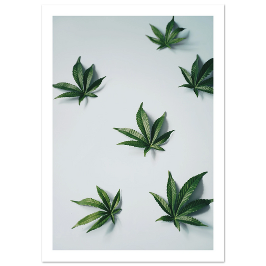 d2dbc321-c248-407c-9ee5-98dea33ad542